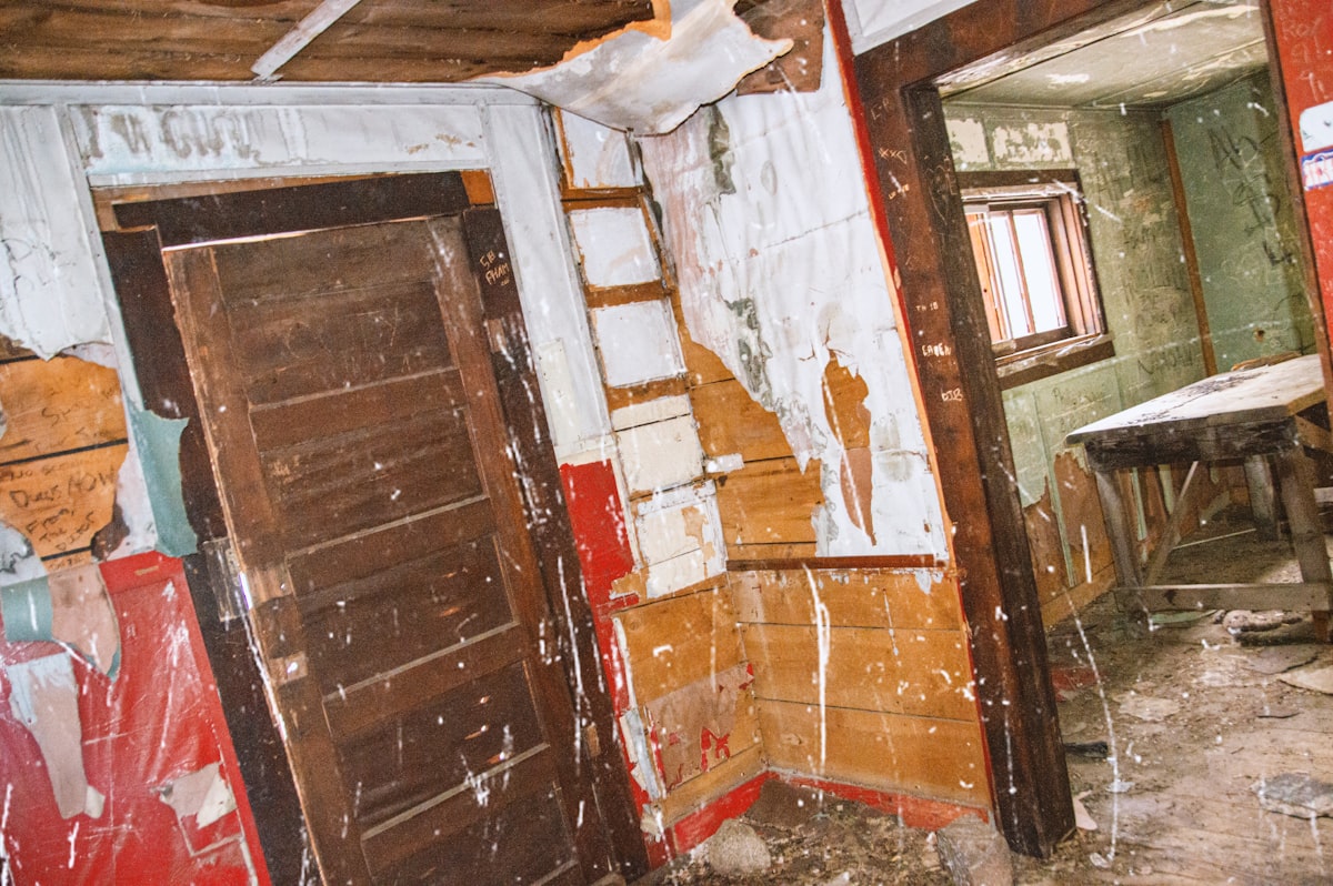 Mold Remediation service in Hayward, CA